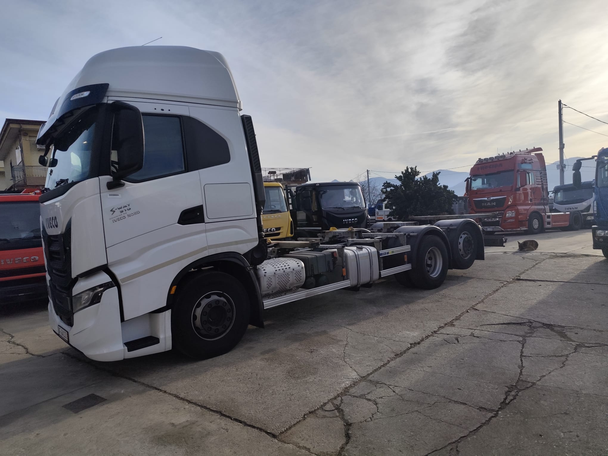 IVECO S-WAY 510 AS (260S51) (COD .INT. PM2119) - immagine 6