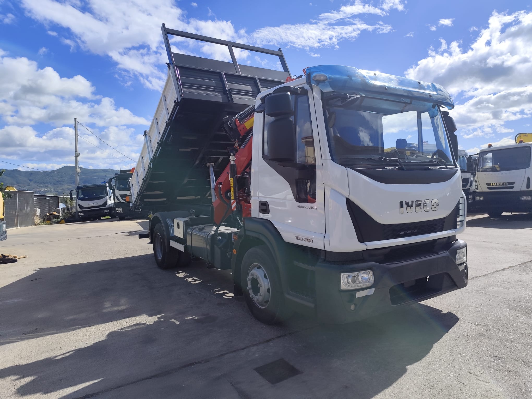 IVECO EUROCARGO 160-250 (COD.INT. PM1895) - immagine 25