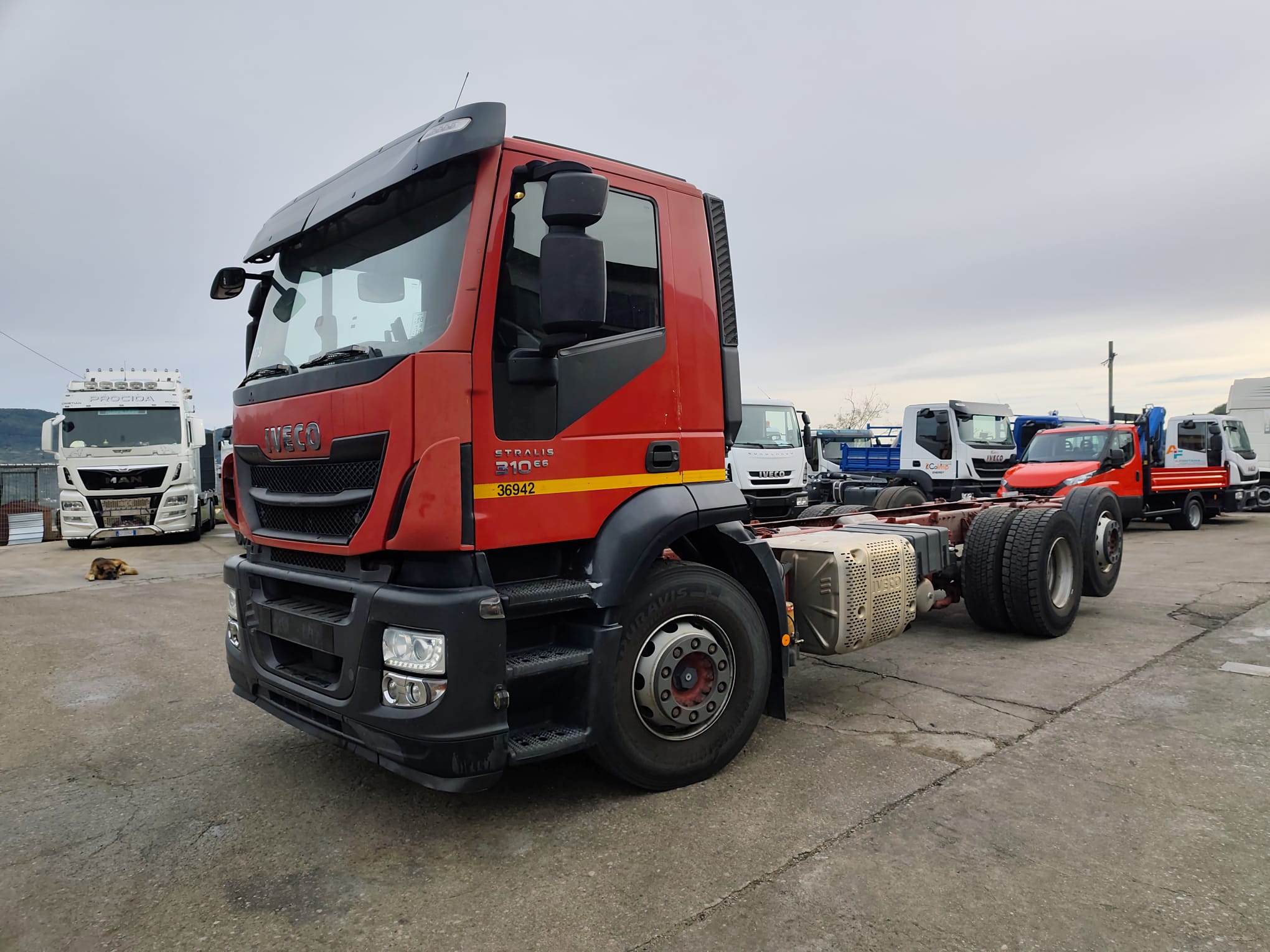 IVECO STRALIS HI-STREET 260S31 (COD.INT. PM2210) - immagine 55