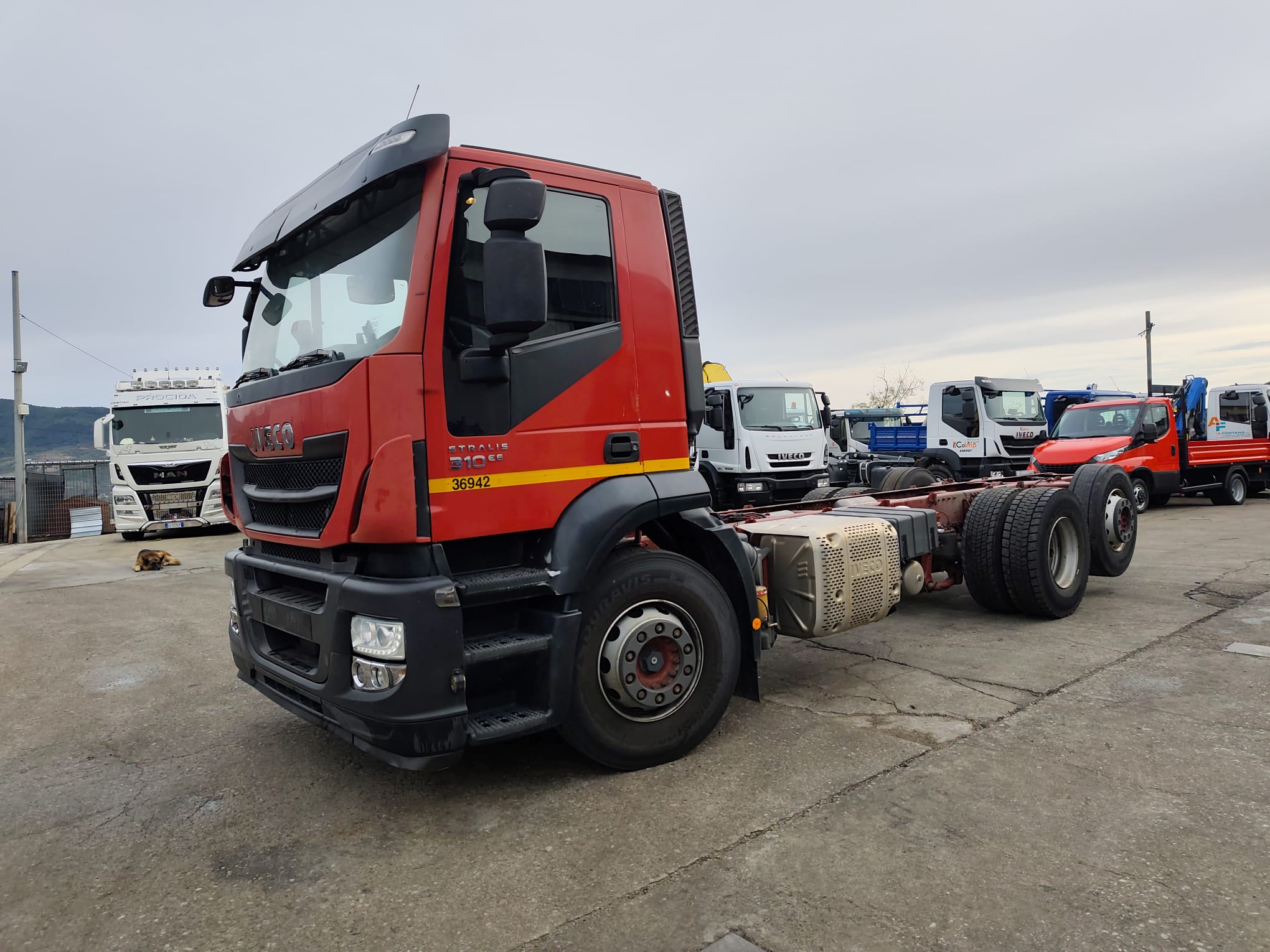 IVECO STRALIS HI-STREET 260S31 (COD.INT. PM2210) - immagine 56
